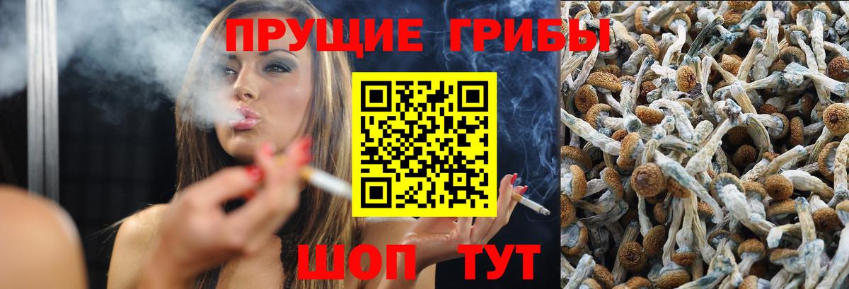 Псилоцибиновые грибы MAGIC MUSHROOMS  Вход с VPN  Кимры  Галлюциногенные грибы прущие грибы 